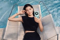 ro、ProMax和RS版都需要预定抢购